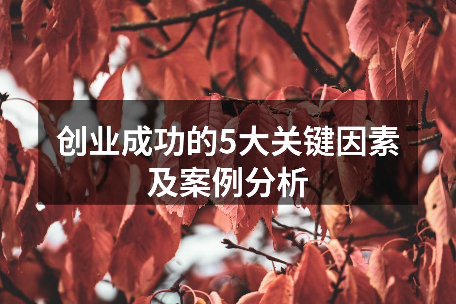 创业成功的5大关键因素及案例分析