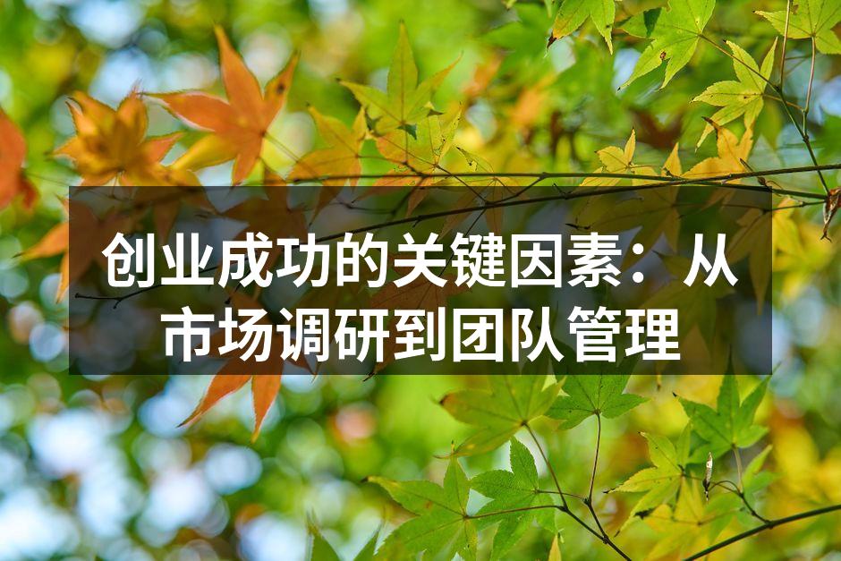 创业成功的关键因素：从市场调研到团队管理