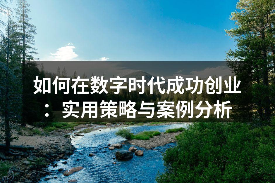 如何在数字时代成功创业：实用策略与案例分析